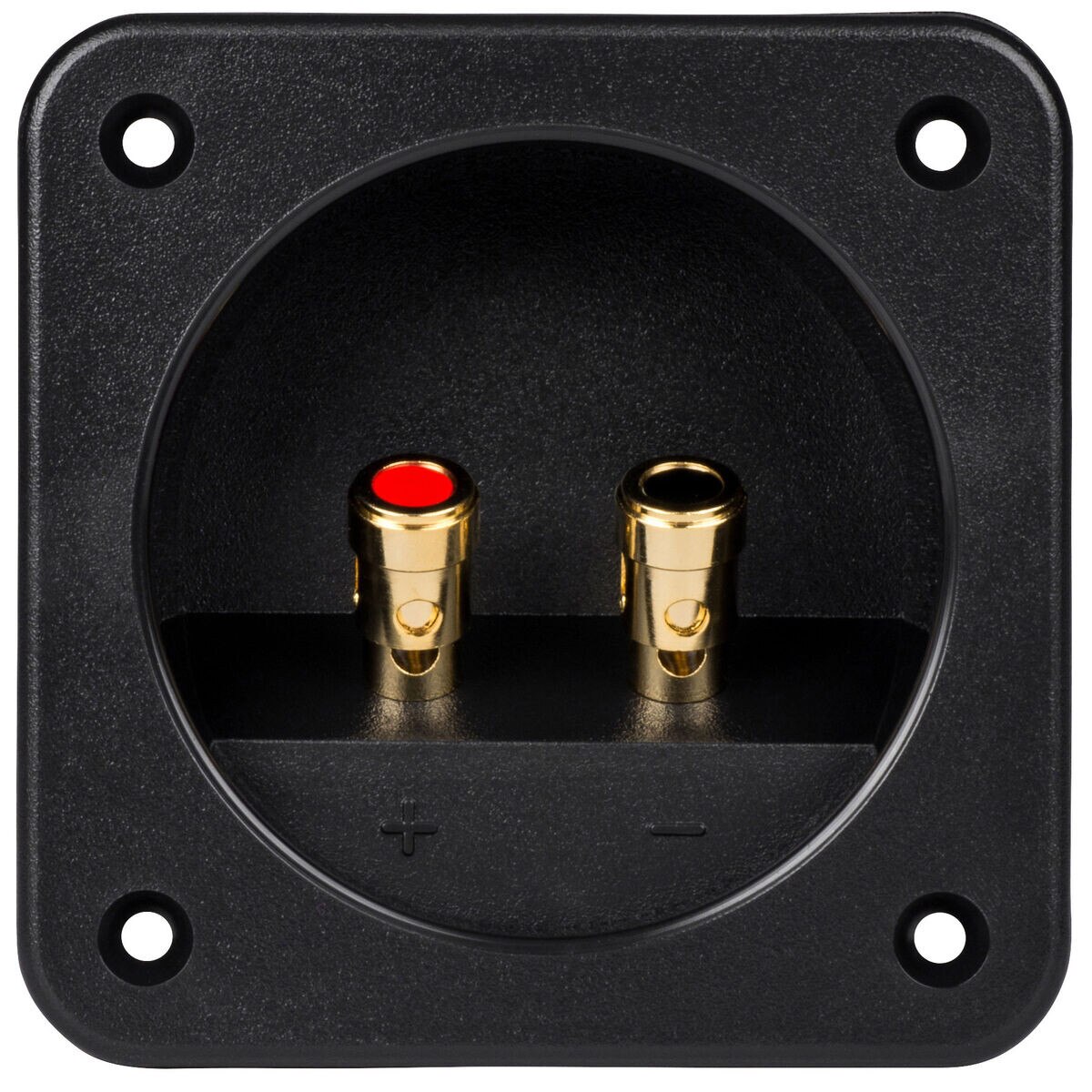 Square Speaker Wire Terminal Cup 4" Gold SpringLoaded